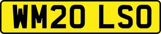 WM20LSO