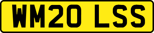 WM20LSS
