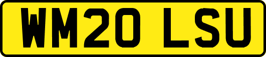 WM20LSU