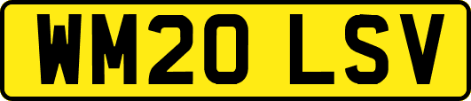 WM20LSV