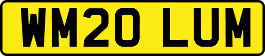 WM20LUM