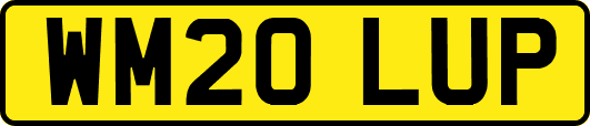 WM20LUP