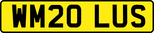 WM20LUS