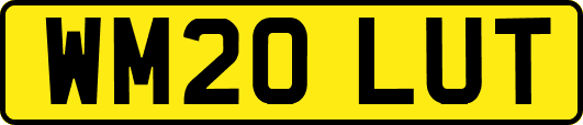 WM20LUT
