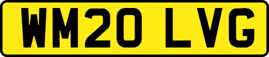 WM20LVG