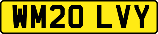 WM20LVY