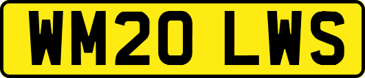 WM20LWS