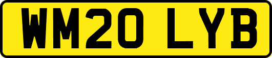 WM20LYB