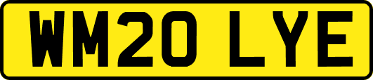 WM20LYE