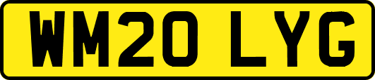 WM20LYG