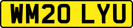 WM20LYU
