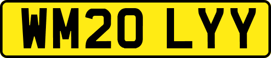 WM20LYY