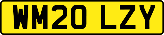 WM20LZY