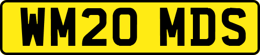 WM20MDS