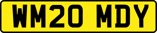 WM20MDY