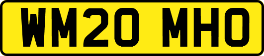 WM20MHO