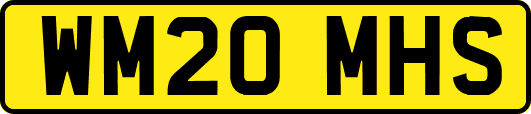 WM20MHS
