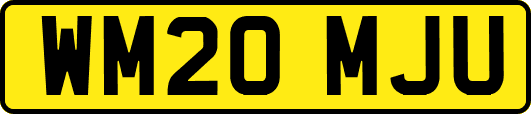 WM20MJU