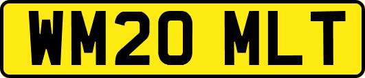 WM20MLT