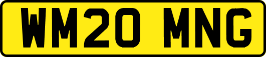 WM20MNG