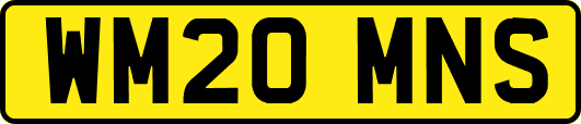 WM20MNS