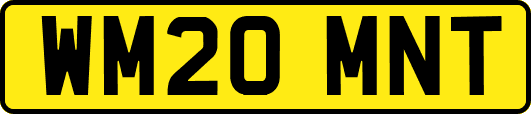WM20MNT