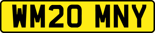 WM20MNY