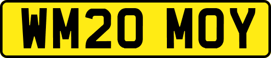 WM20MOY