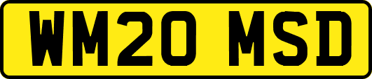 WM20MSD