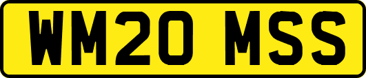 WM20MSS