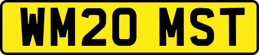 WM20MST