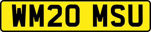 WM20MSU