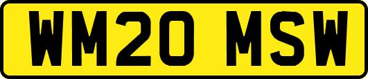 WM20MSW