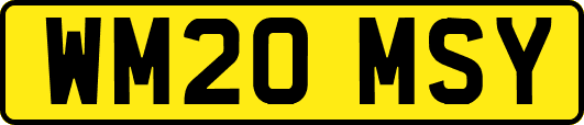 WM20MSY