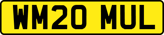 WM20MUL