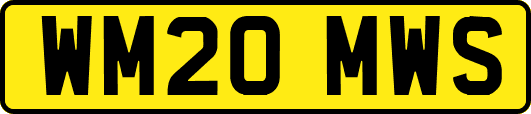 WM20MWS