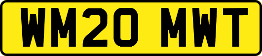 WM20MWT