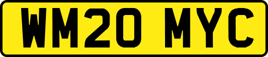 WM20MYC
