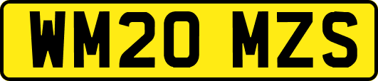 WM20MZS