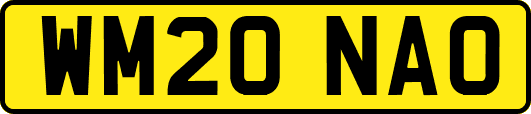 WM20NAO