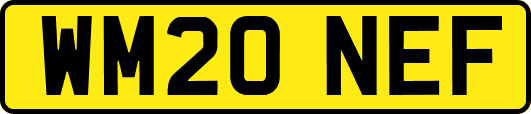 WM20NEF