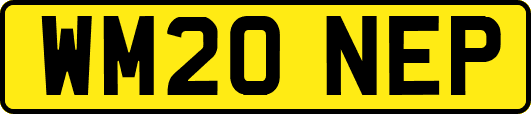 WM20NEP