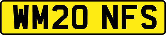 WM20NFS