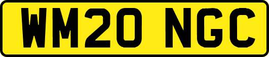 WM20NGC