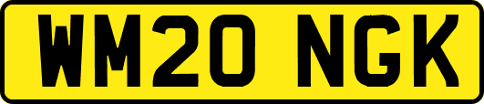 WM20NGK