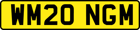 WM20NGM