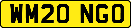 WM20NGO