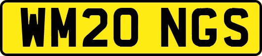 WM20NGS