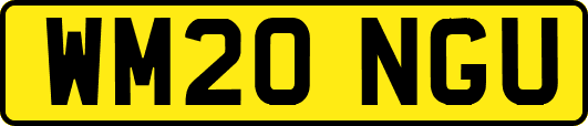 WM20NGU