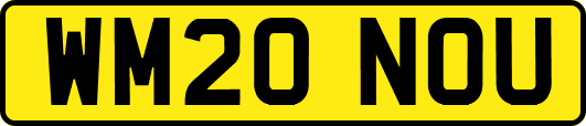 WM20NOU